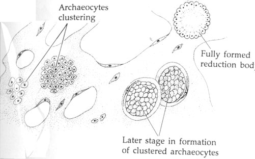 untitled-page-bioclass-cos-ncsu-edu